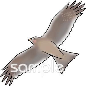 小学校向け飛ぶ とんび無料イラストお試しフリー素材(カット)