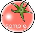 小学校向け農産物 トマト無料イラストお試しフリー素材(カット)