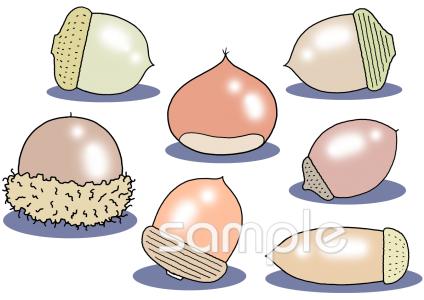 小学校向けがんばりカード 木の実無料イラストお試しフリー素材(カット)