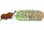 小学校向け文字 虫の名前無料イラストお試しフリー素材(カット)