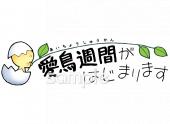 小学校向け愛鳥週間がはじまります無料イラストお試しフリー素材(カット)