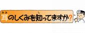 小学校向け耳のしくみ無料イラストお試しフリー素材(カット)