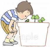 小学校向けアサガオの育て方無料イラストお試しフリー素材(カット)