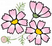 小学校向けコスモス無料イラストお試しフリー素材(カット)