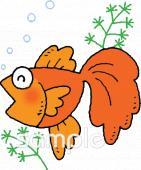 小学校向け金魚無料イラストお試しフリー素材(カット)