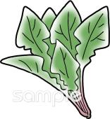 小学校向けホウレンソウ無料イラストお試しフリー素材(カット)