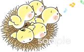 小学校向けヒナ 鳥の巣無料イラストお試しフリー素材(カット)