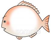 小学校向け文字枠 さかな無料イラストお試しフリー素材(カット)