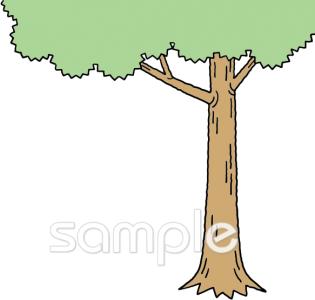 幼稚園向け木無料イラストお試しフリー素材(カット)