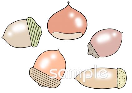 幼稚園向けがんばりカード 木の実無料イラストお試しフリー素材(カット)