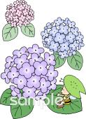 幼稚園向けあじさい無料イラストお試しフリー素材(カット)
