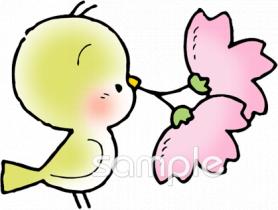 公民館・市役所・町村役場のための小鳥 さくら無料イラストお試しフリー素材(カット)