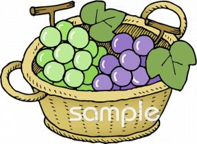 公民館・市役所・町村役場のためのブドウ無料イラストお試しフリー素材(カット)