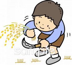 公民館・市役所・町村役場のための稲刈り無料イラストお試しフリー素材(カット)