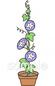 公民館・市役所・町村役場のためのアサガオ 鉢植え無料イラストお試しフリー素材(カット)