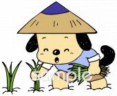 公民館・市役所・町村役場のための田植え 水田無料イラストお試しフリー素材(カット)
