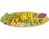 公民館・市役所・町村役場のためのおしらせ 芋掘り無料イラストお試しフリー素材(カット)