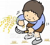 公民館・市役所・町村役場のための稲刈り無料イラストお試しフリー素材(カット)