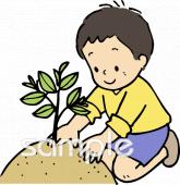 公民館・市役所・町村役場のための木を植える無料イラストお試しフリー素材(カット)