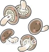 公民館・市役所・町村役場のためのシイタケ無料イラストお試しフリー素材(カット)