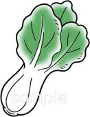 公民館・市役所・町村役場のためのチンゲンサイ無料イラストお試しフリー素材(カット)